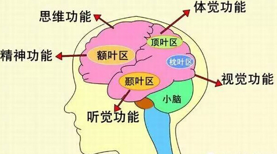 注意力訓(xùn)練