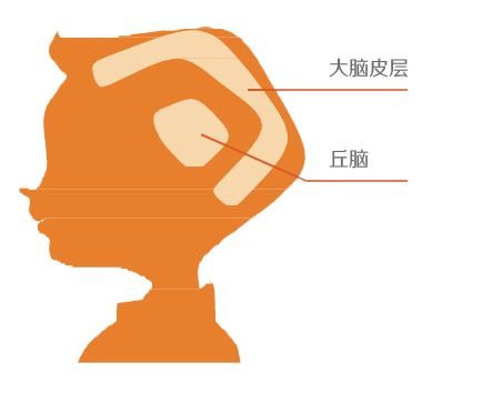 <a href=http://www.hbt60.com/class/electrical.htm target=_blank class=infotextkey>腦電生物反饋</a>訓(xùn)練.jpg