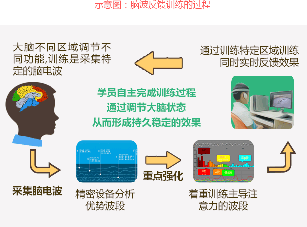 腦電訓(xùn)練過程圖.gif